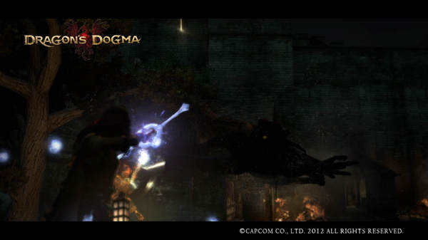 Dragon's Dogma Screen Shot _4.jpg
